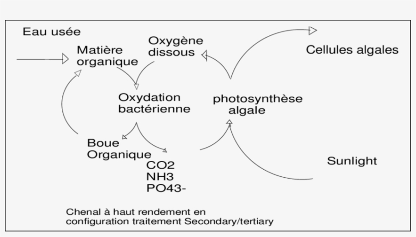 Principe De Fonctionnement Du Cahr Selon Le Modèle - Diagram, transparent png download
