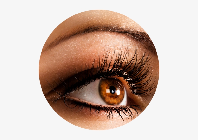 Eye Enhancement - Eyelash Extensions, transparent png download