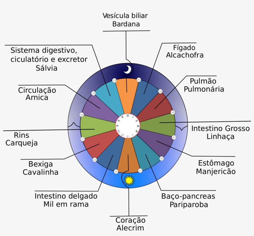 Open - Statistik Mitarbeiter Der Stasi, transparent png download
