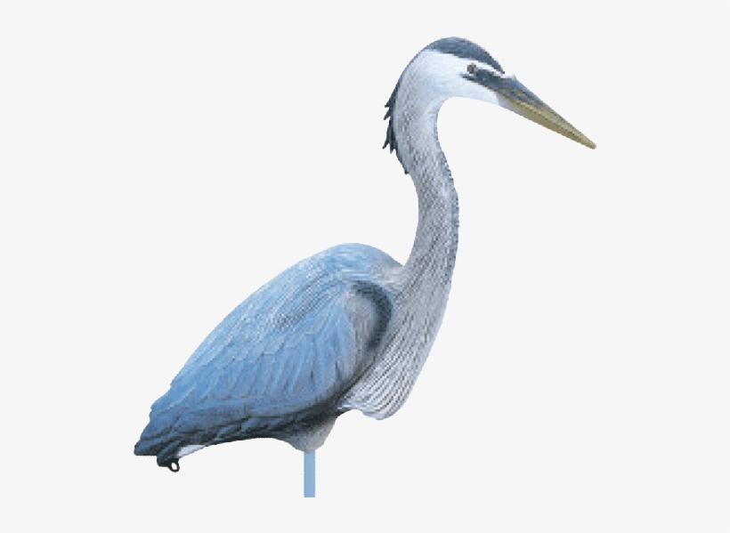 Flambeau Great Blue Heron Confidence Decoy - Flambeau Heron Decoy, transparent png download