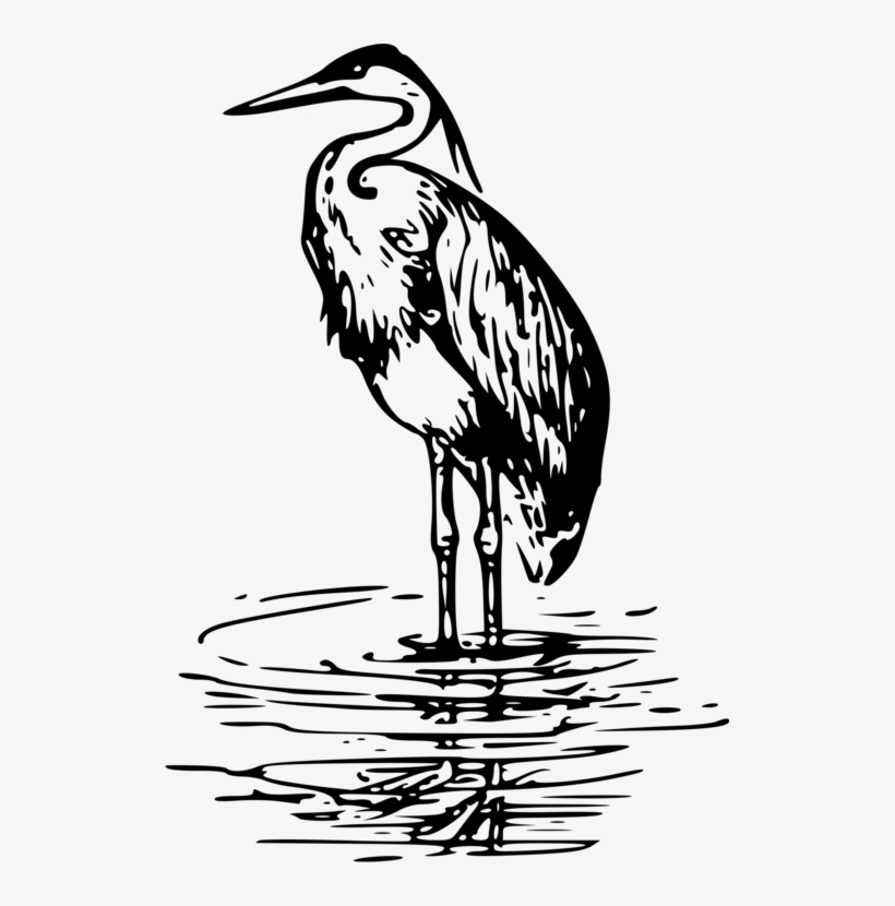 Green Heron Crane Great Blue Heron Computer Icons - Heron Clip Art, transparent png download