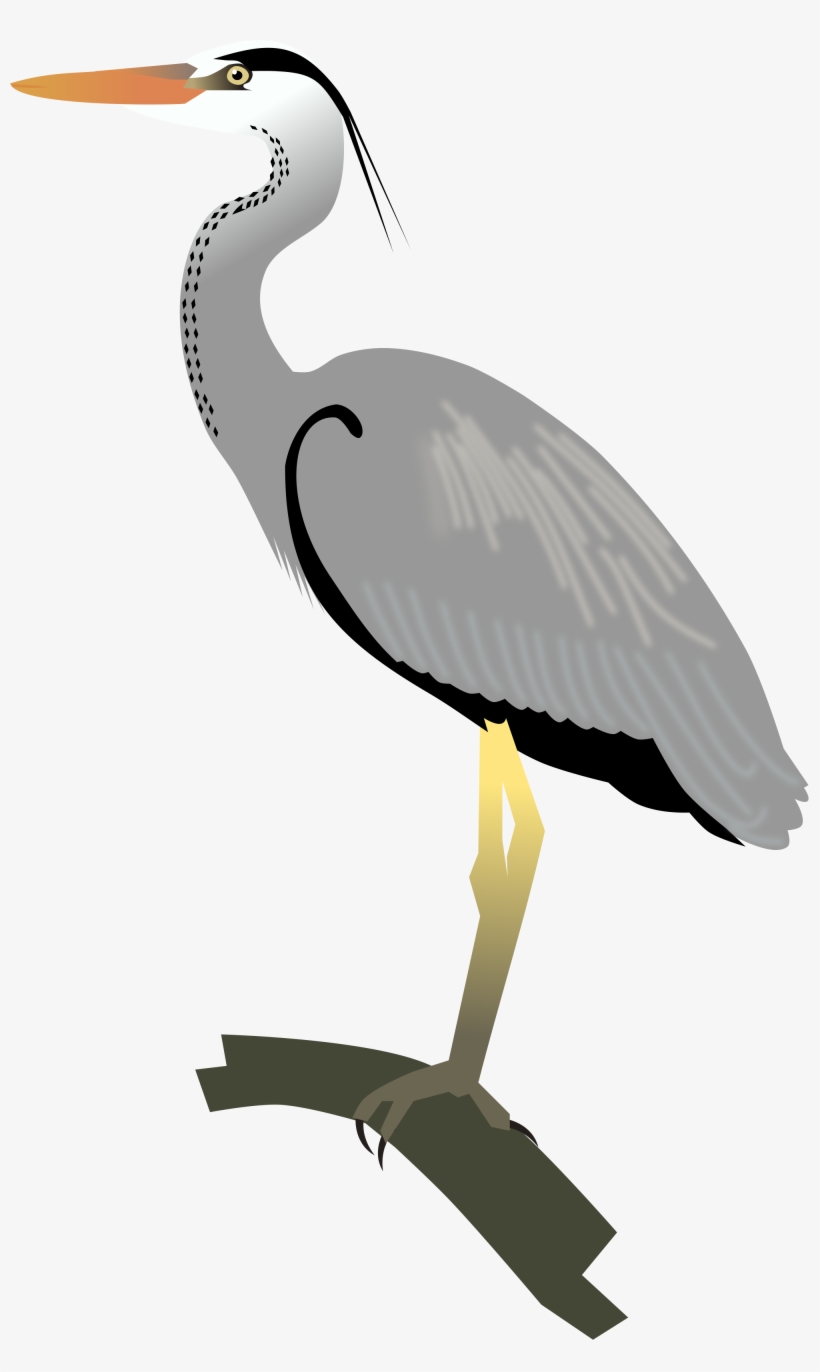Open - Grey Heron Png, transparent png download