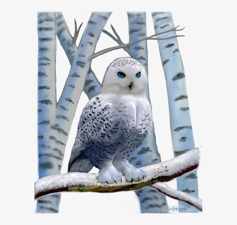 Click And Drag To Re-position The Image, If Desired - Blue-eyed Snow Owl Journal, transparent png download