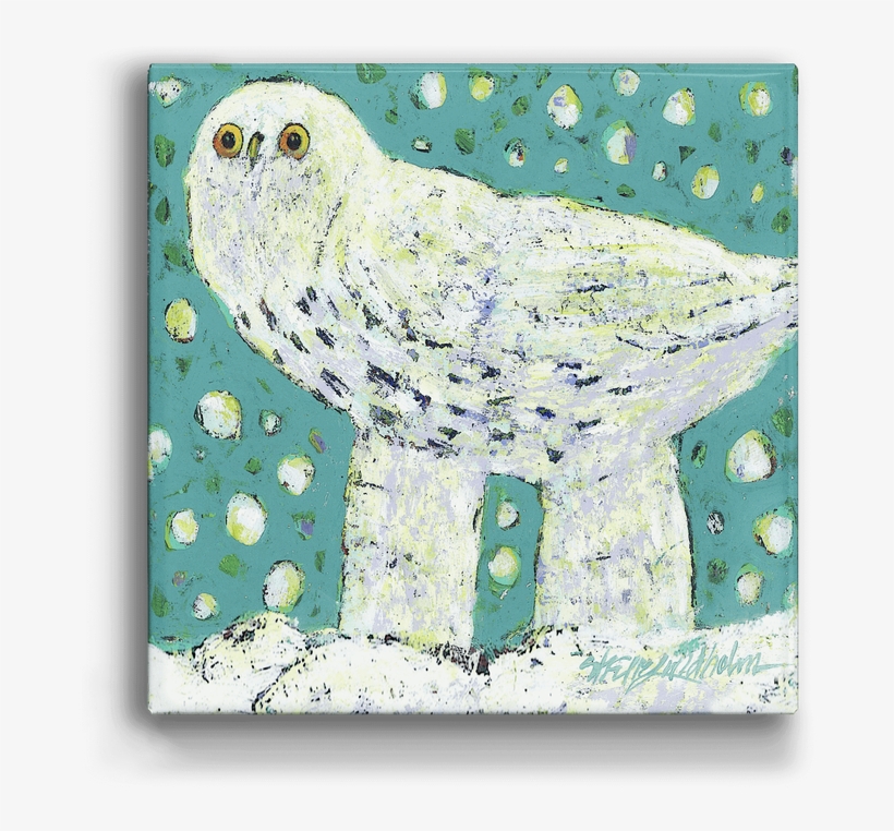 Snow Bird Box Art - Bird, transparent png download