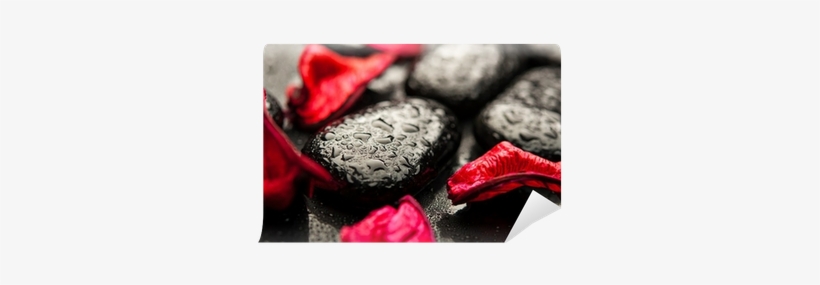 Black Stones And Red Petals With Water Droplets Wall - Petal, transparent png download