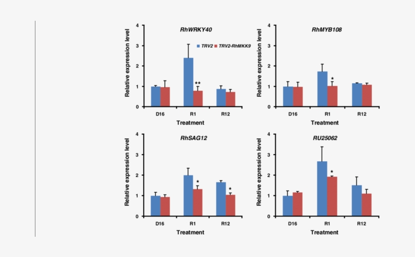 Expression Patterns Of Four Ethylene Responsive Genes - Interleukin 6, transparent png download