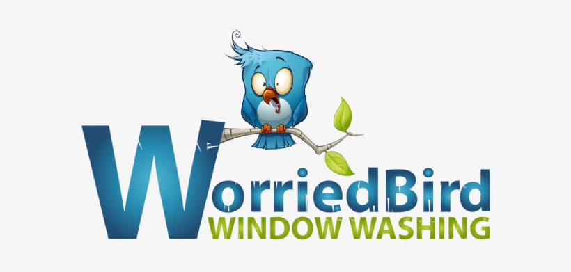 Blue Bird Hangover Note Cards (pk Of 20), transparent png download