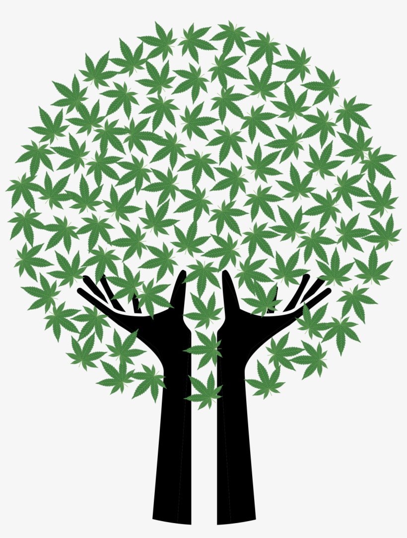 Big Image - Contemporary Indoor Wall Murals, transparent png download