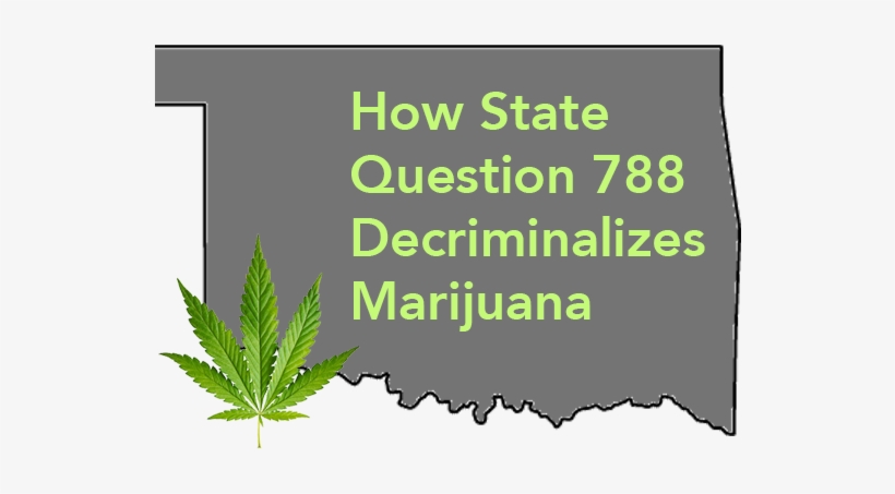 How Sq788 Decriminalizes Marijuana - Feyenoord Mijn Club, transparent png download