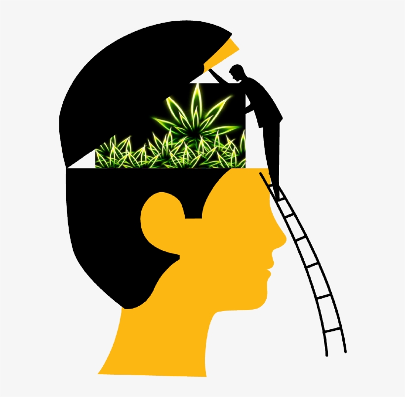 By Todd Shepherd - Thinking Students Cartoon Png, transparent png download