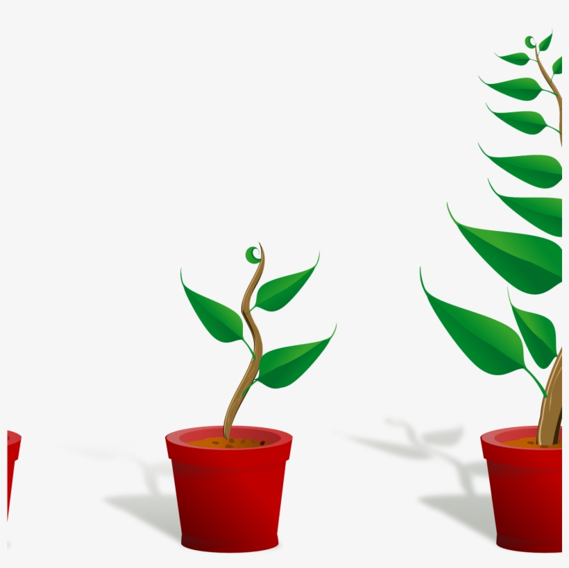 Flower Plant Clipart Plant 2 Growing 4444pxpng, Cute - Getting To Know Plants, transparent png download