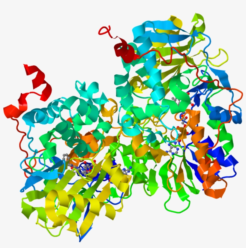 Monoamine Oxidase Inhibitor - Monoamine Oxidase, transparent png download