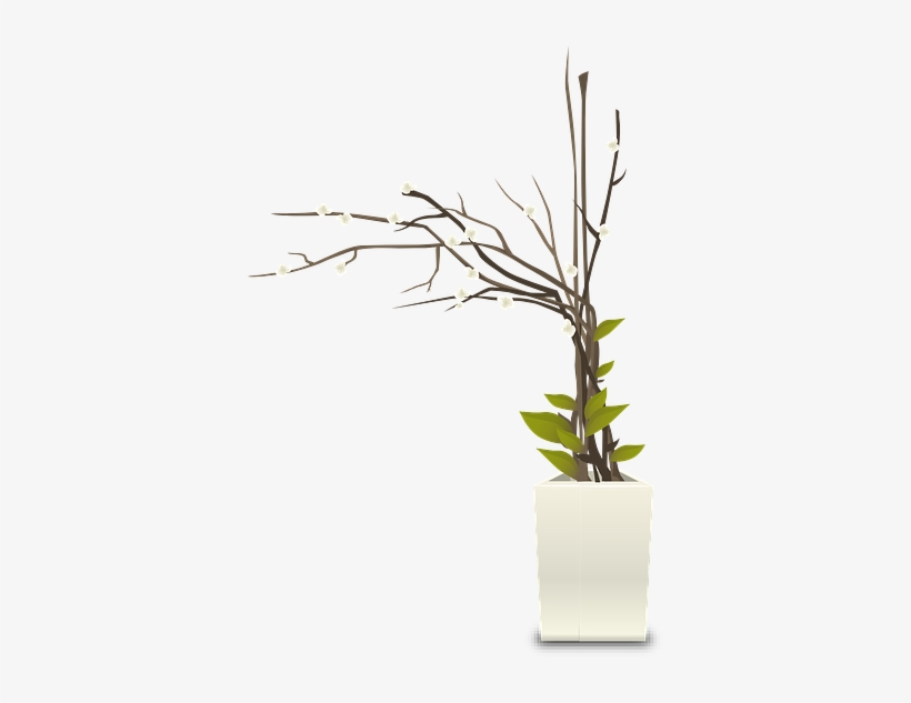 Plant Growing In Pot - Flower Pot Interior Png, transparent png download