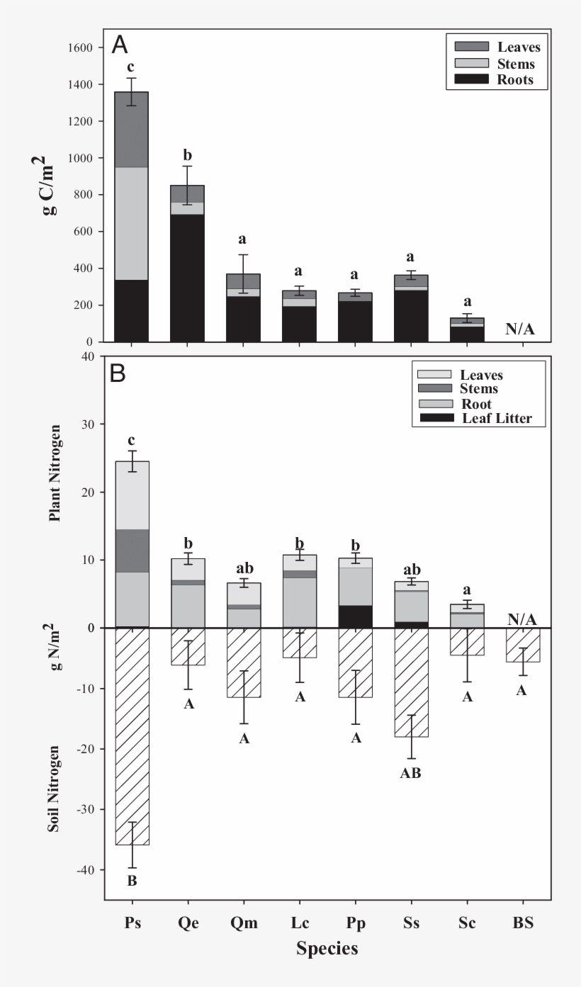Plant Carbon Allocation After Six Growing Seasons - Diagram, transparent png download