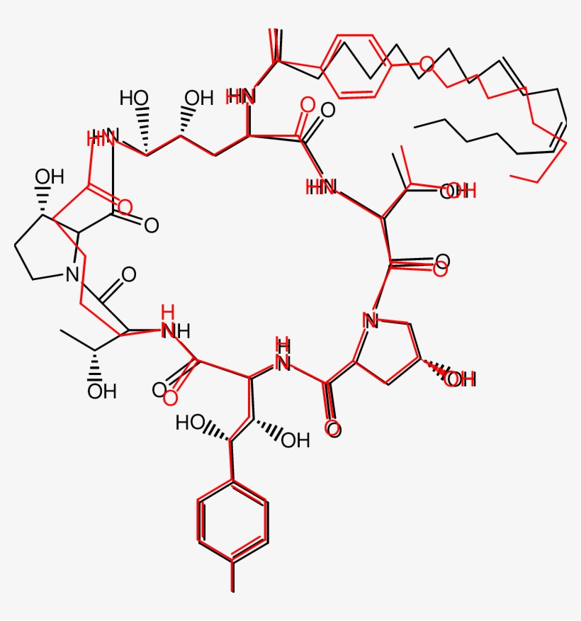 Overlay Of Compound Iv With Echinocandin B - Diagram, transparent png download