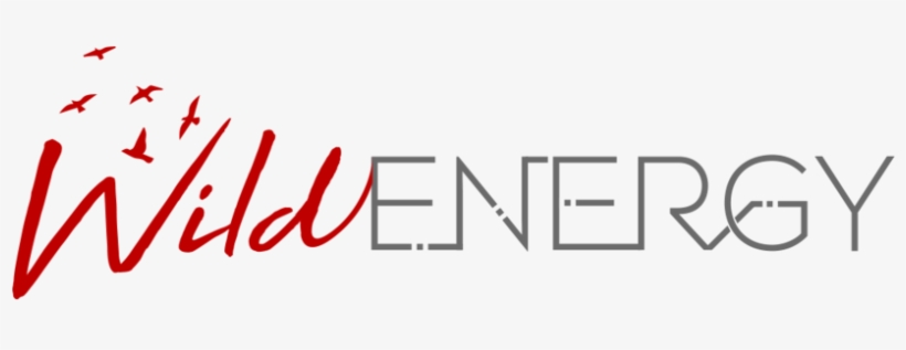 Red 1 - Ecology, transparent png download