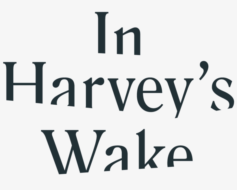 In Harvey's Wake - Sartre's Sink, transparent png download