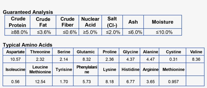 Chiken - Chicken, transparent png download