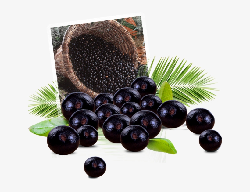 Acai Berry Png - Acai Berry Fruit Png, transparent png download