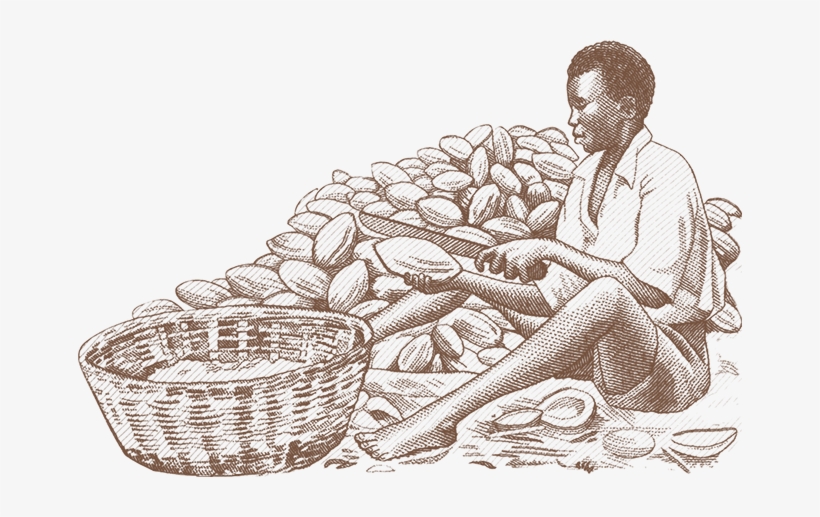 Cocoa Bean Worker - Ghana, transparent png download
