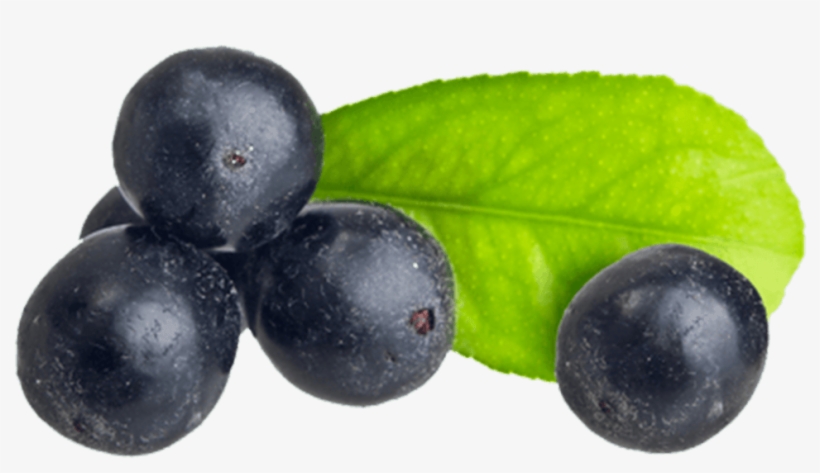 What Is Açaí - Acai Berry Supplement: Alternative Medicine, transparent png download