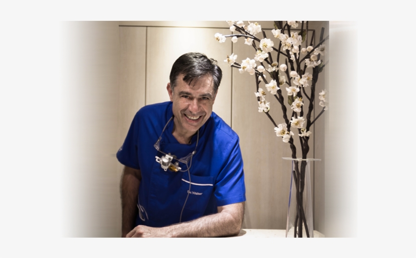 Tu Dentista De Confianza - Artificial Flower, transparent png download