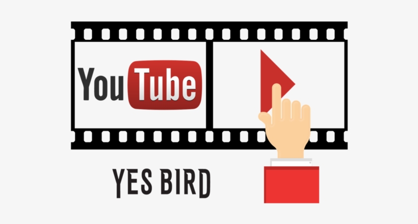 Se Você Curte Pássaros Assim Como A Gente, Dá Uma Conferida - 50 Big Tips On How To Improve Your Youtube Channel, transparent png download