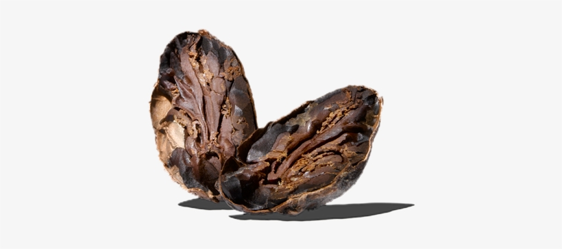 The Cocoa Bean | Bakery, Drinks, Ice Cream, transparent png download