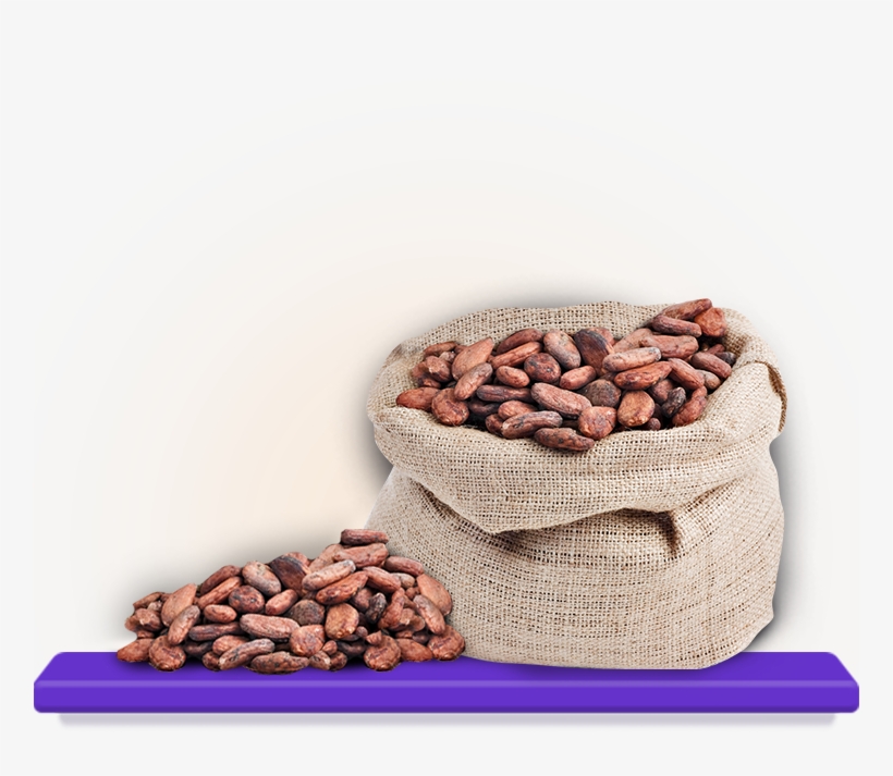 The Chocolate Maker Roasts The Beans, Stripping Them - Coffee Shampoo, transparent png download
