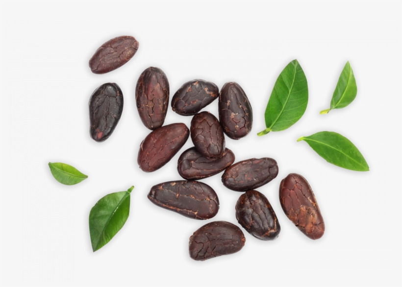 Also, May Contain Nuts, Peanuts, Milk And Soya - Cocoa Bean, transparent png download