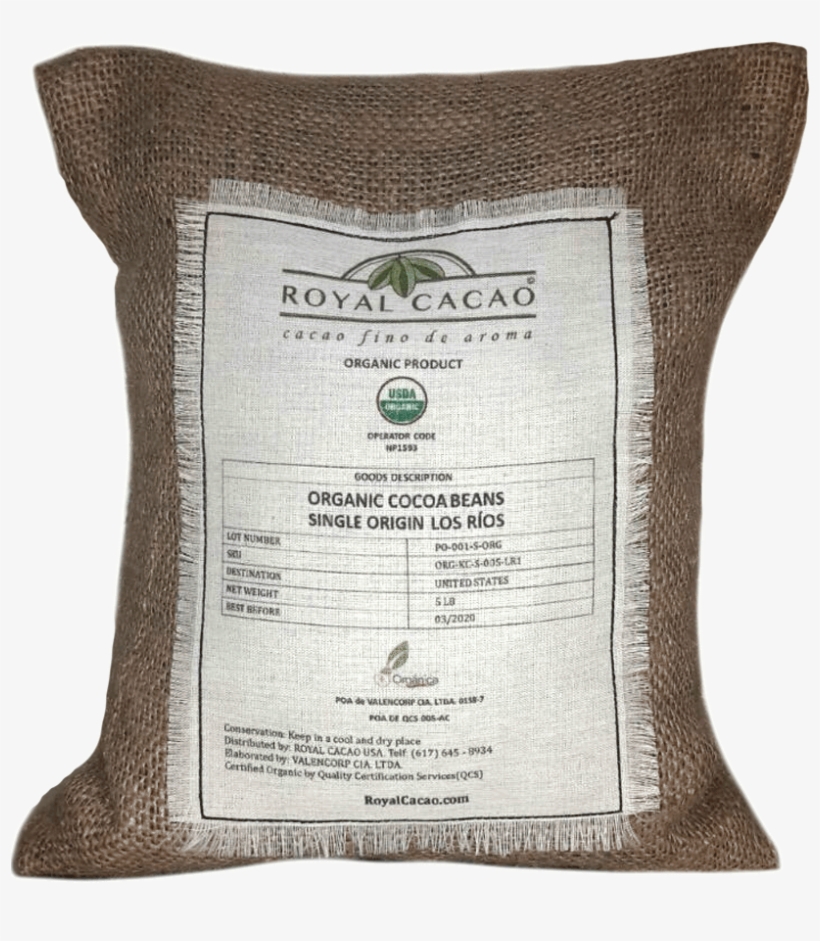 Organic Usda Certified Cocoa Beans - Cocoa Bean, transparent png download