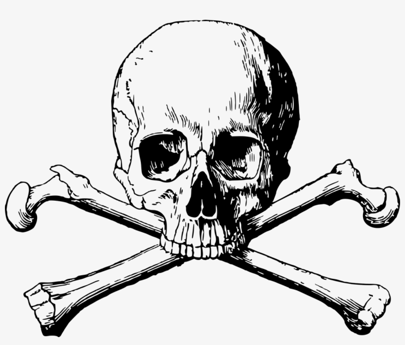 Free Download Cross Bones Png Clipart Skull And Crossbones - Skull And Bones Png, transparent png download