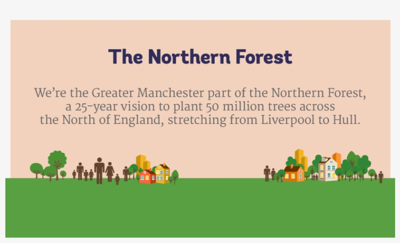 Northern Forest - Grass, transparent png download