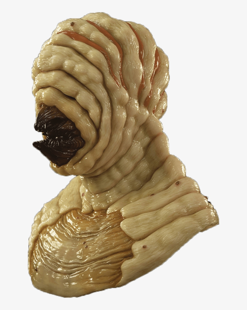The Larva Silicone Mask - Scary Silicone Masks, transparent png download