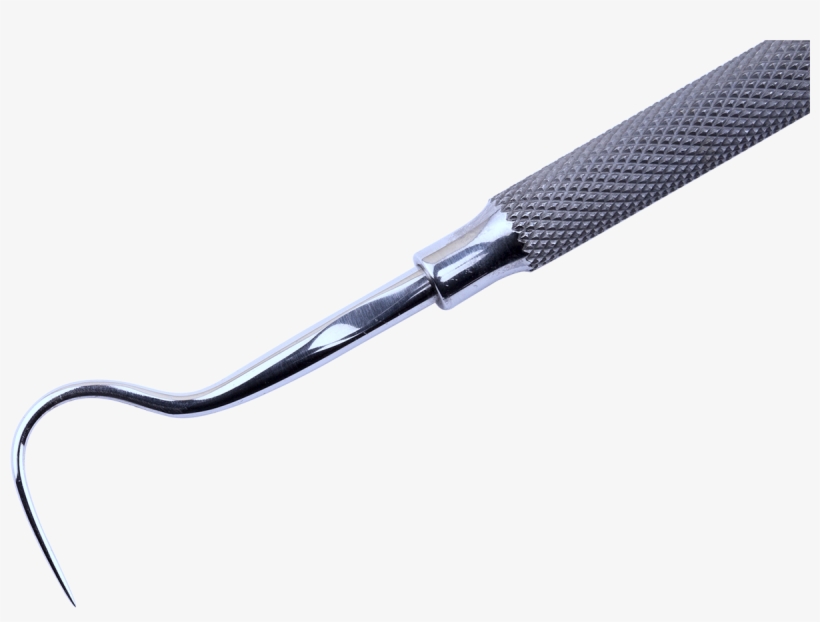 Dental Explorer - Garden Tool, transparent png download