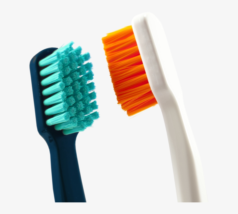 Read The Latest - Privacy Policy, transparent png download