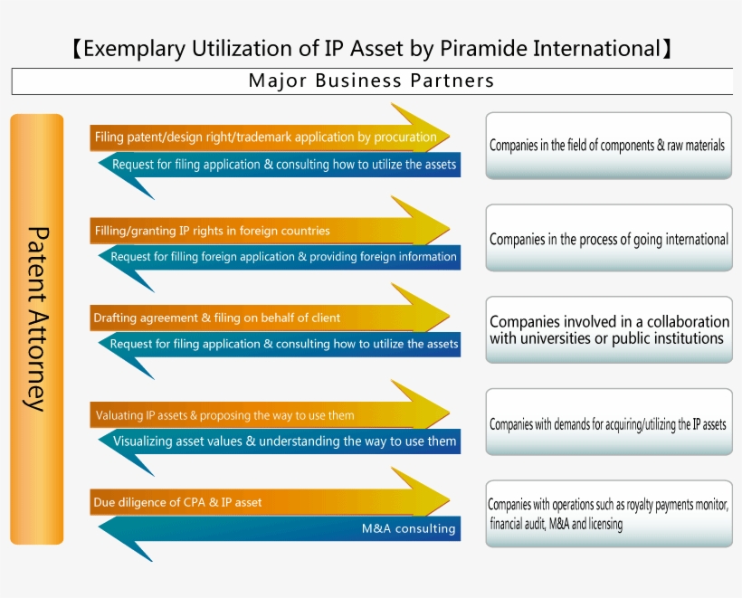 Exemplary Utilization Of Ip Asset By Piramide International - The Ip Asset Partnership Limited, transparent png download