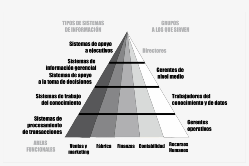 Tipos De Sistemas De Información, Áreas Funcionales - Piramide De La Informacion, transparent png download