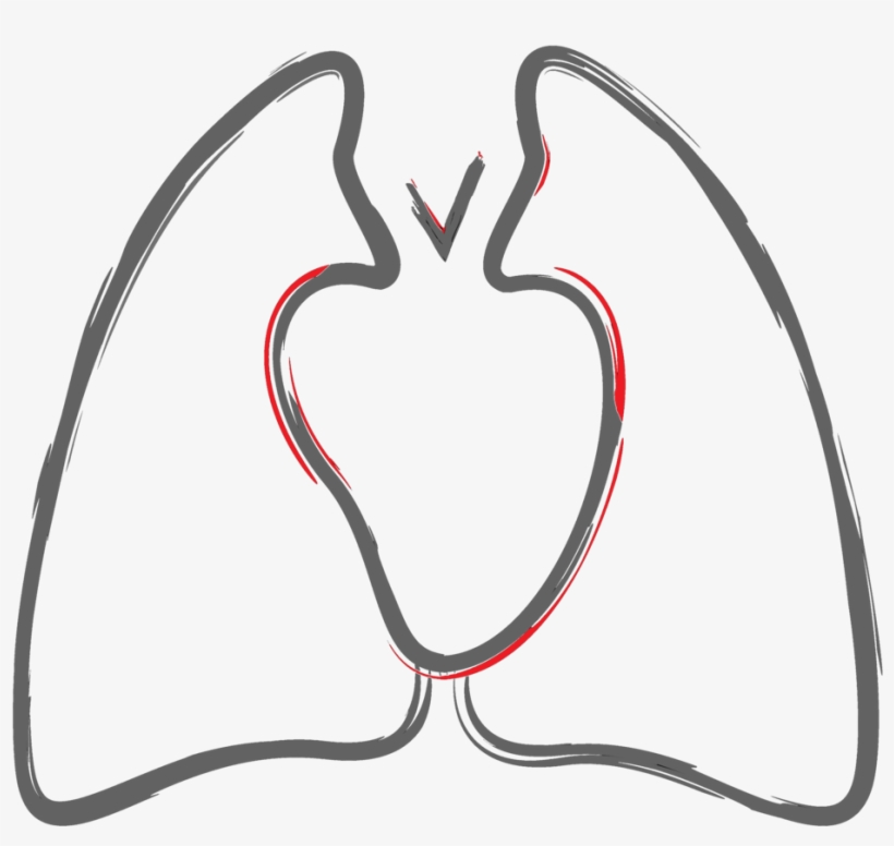 Tri&tri Color Fixed No Background, transparent png download