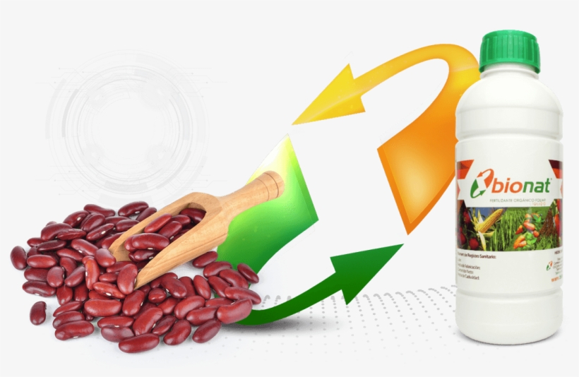 Frijoles - Kidney Beans, transparent png download