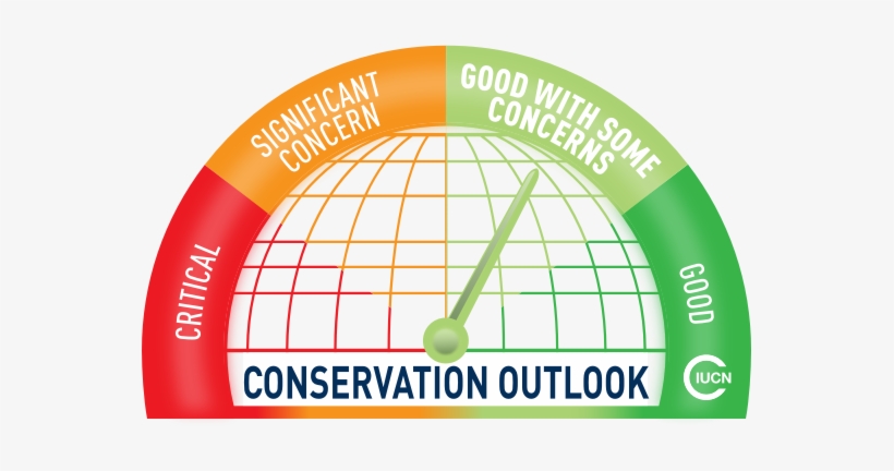 Canadian Rocky Mountain Parks - Australian Fossil Mammal Sites (riversleigh / Naracoorte), transparent png download