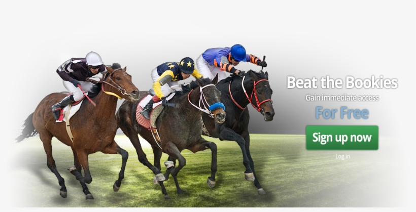 Horse Racing Advice Every Race Day - Horse, transparent png download