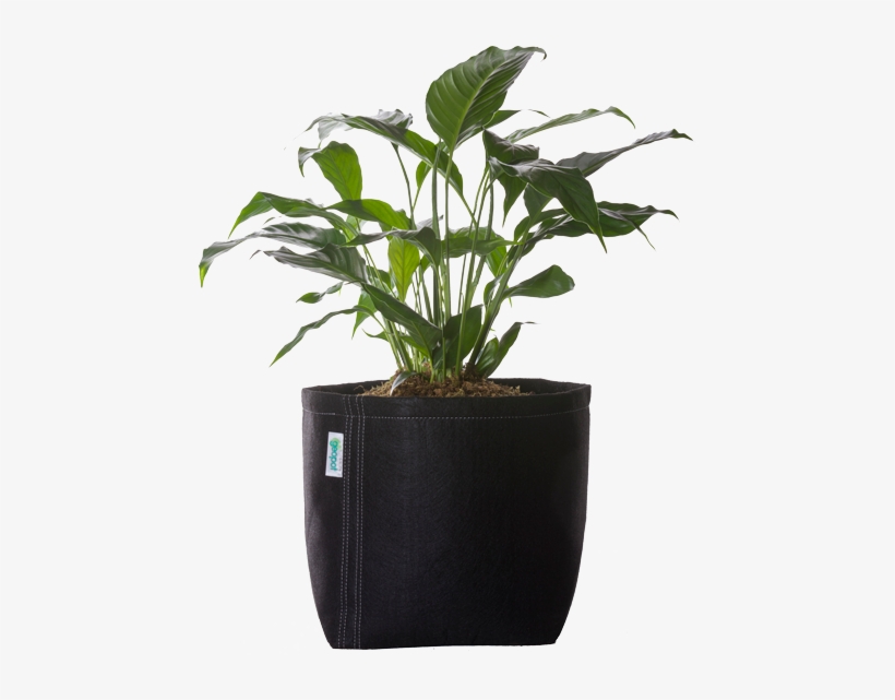 Black Square Bottom Geopot - Flowerpot, transparent png download