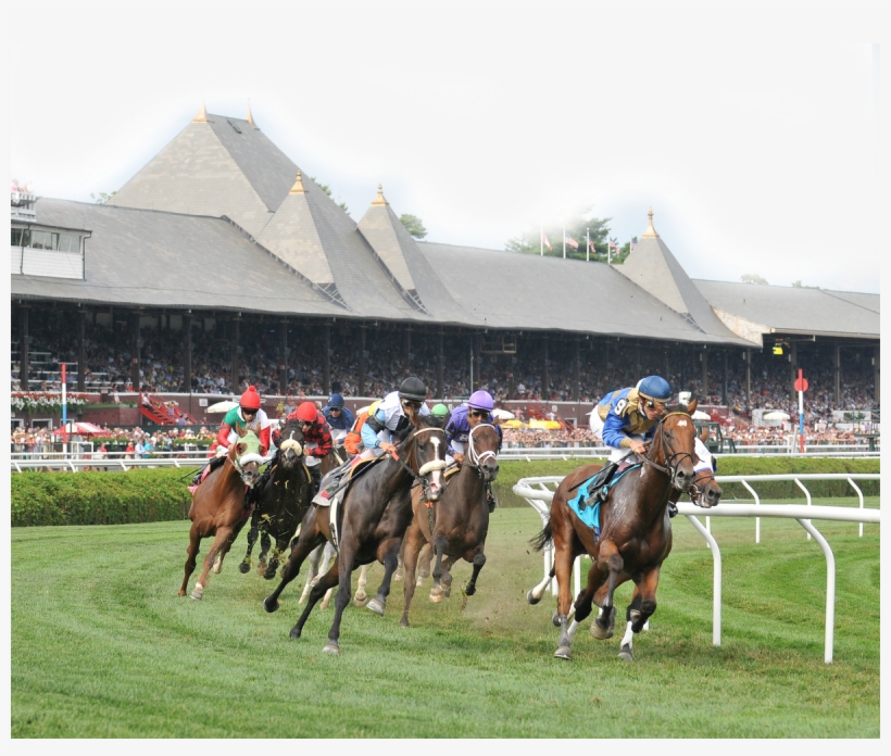 24 Aug - Flat Racing, transparent png download