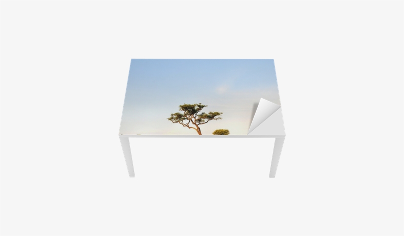 Zurück In Die Wildnis-ein Kleiner Elefant Auf Den Dvd, transparent png download