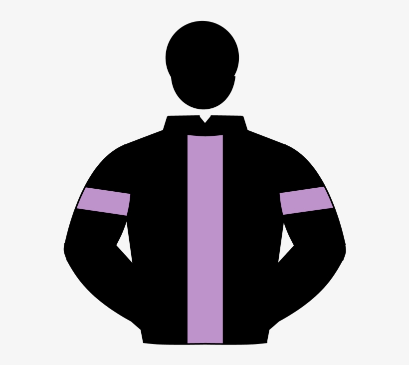 I Am A Novice When It Comes To Horse Racing But Have - Horse Racing, transparent png download