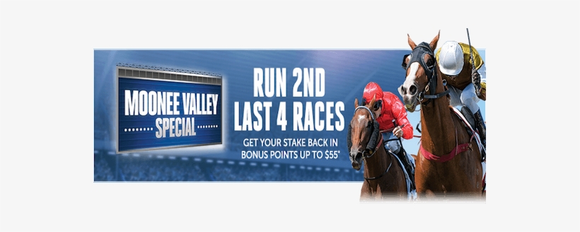 This Saturday And If Your Selection Finishes 2nd In - Stallion, transparent png download