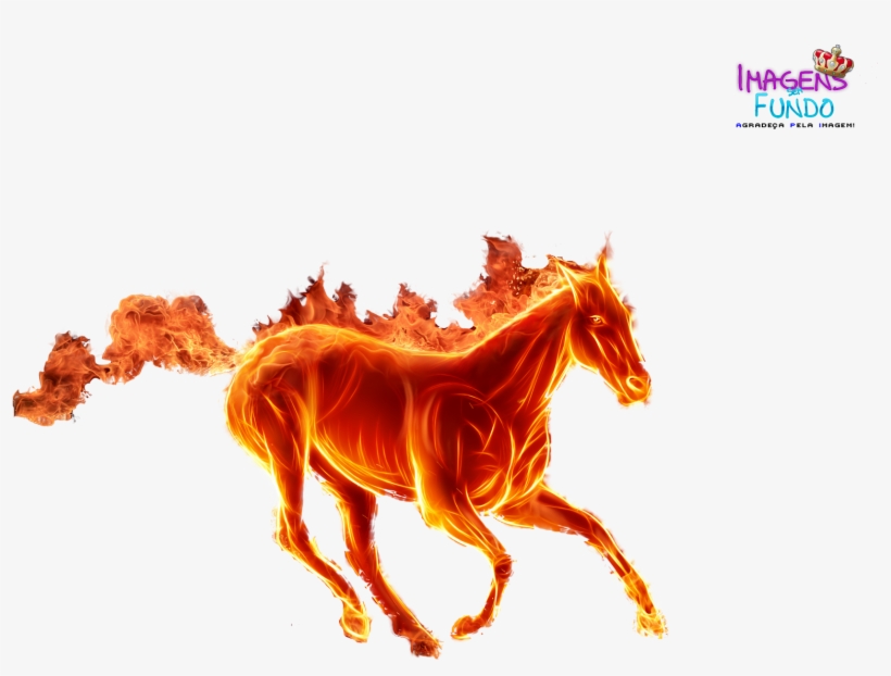 Renders E Imagens Sem Fundo - Pegasus Shrek, transparent png download