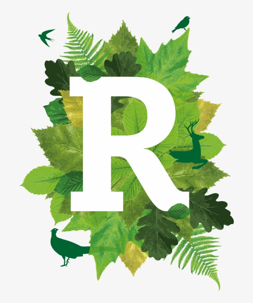 Ivy Clipart Service Award - Rural Business Awards 2018, transparent png download