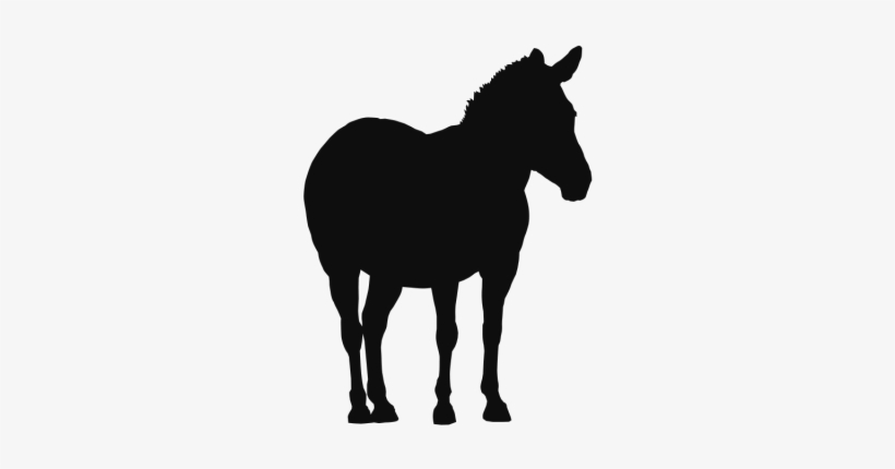 Cavalo Clip Arte Animais Selvagens De Fundo - Sound Transit 3 Pictograms, transparent png download